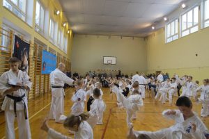 Obrazek wyróżniający Oyama Karate w Gminie Konopnica