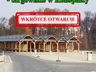 Obrazek wyróżniający Zielony Rynek – targowisko w Konopnicy