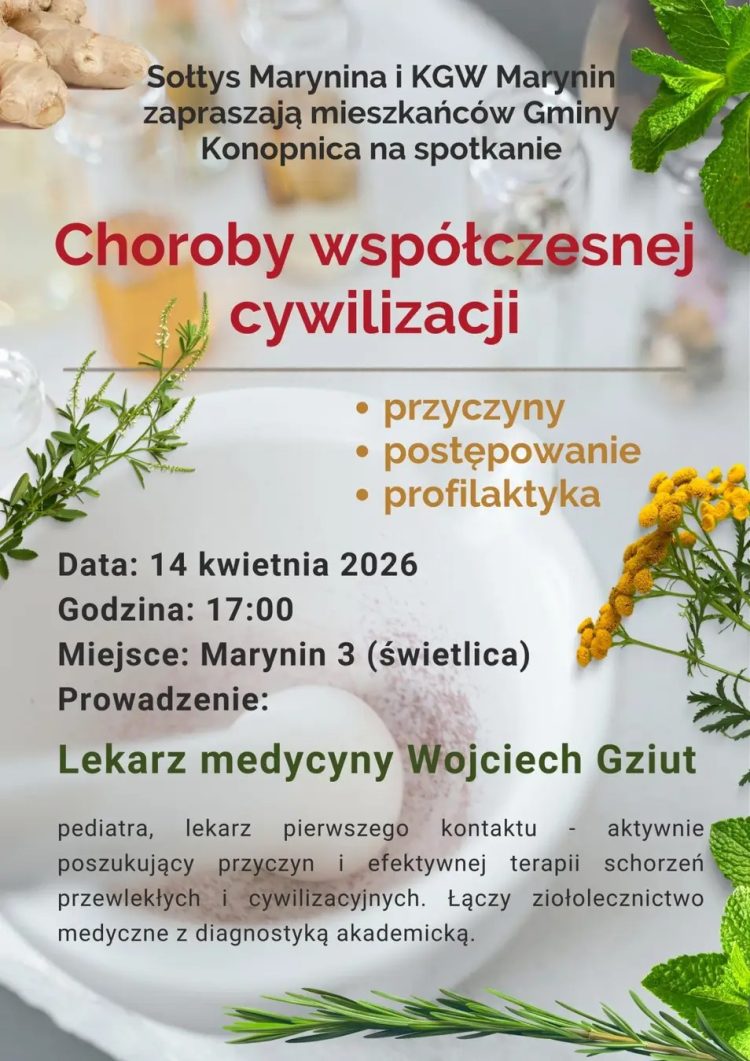 Miniaturka: Choroby współczesnej cywilizacji